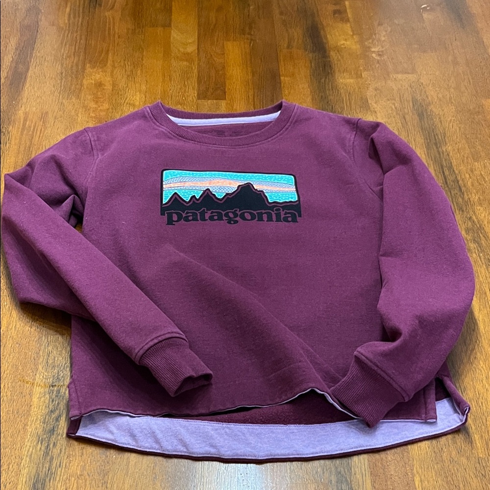 Patagonia Women's Maroon Crew Neck Sweater